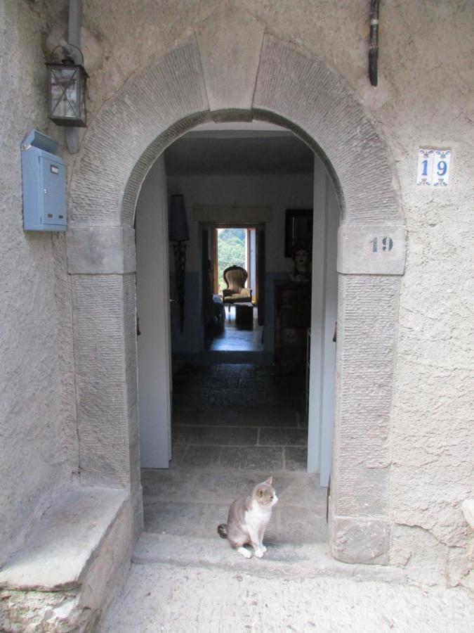 Viandanti, Artisti E Sognatori Bed & Breakfast Comano  Bagian luar foto