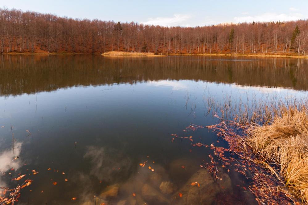 Viandanti, Artisti E Sognatori Bed & Breakfast Comano  Bagian luar foto