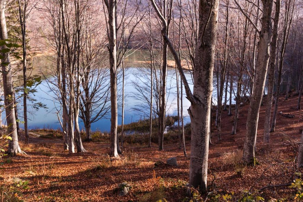 Viandanti, Artisti E Sognatori Bed & Breakfast Comano  Bagian luar foto