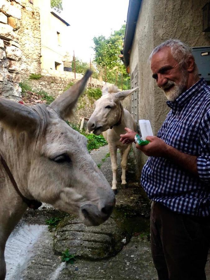 Viandanti, Artisti E Sognatori Bed & Breakfast Comano  Bagian luar foto